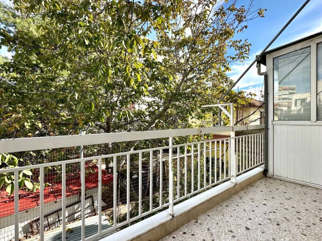 Exostes koyzinas &amp; Apotheke