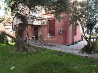 Piso opse archontikoy