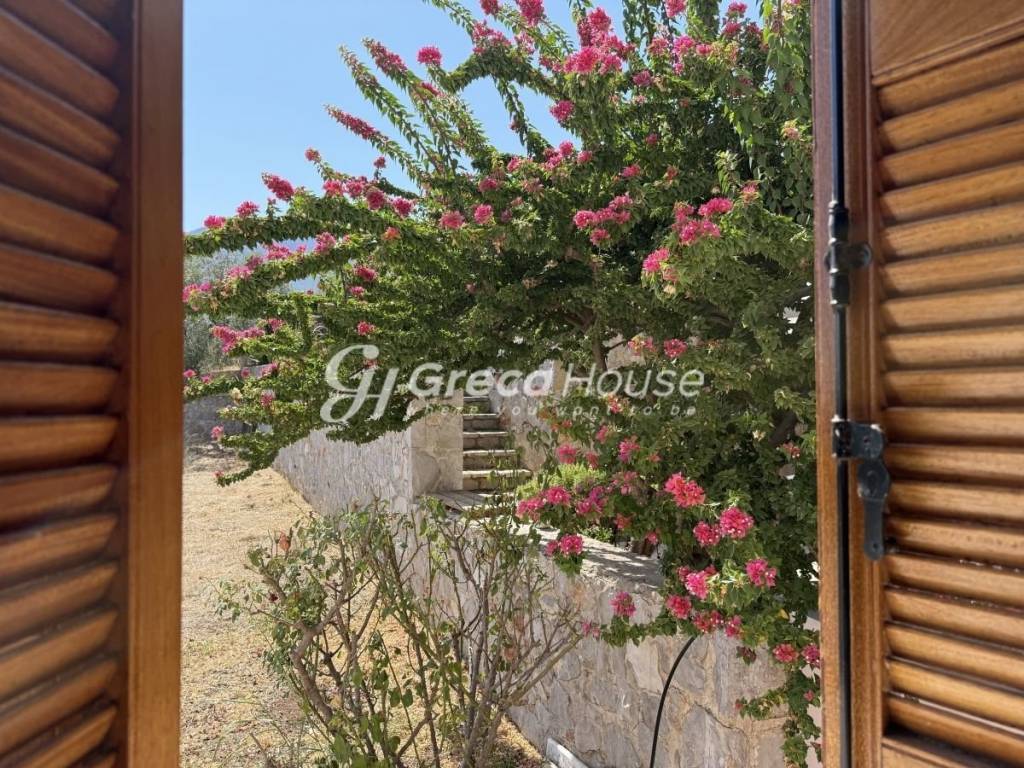 Παραθαλάσσια μονοκατοικία με θέα θάλαασα στην Επίδαυρο