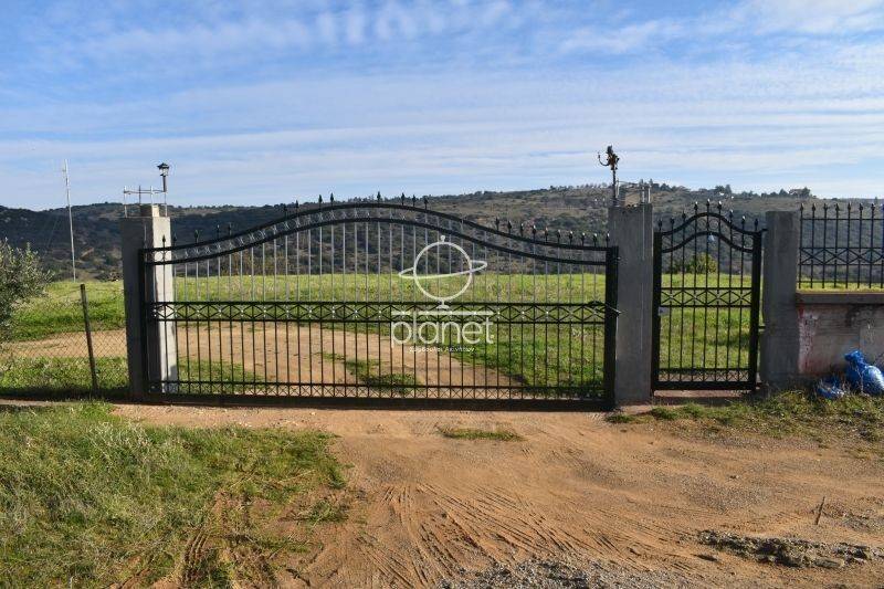 Εξωτερικός χώρος