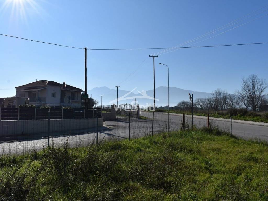 ΑΠΟΨΗ ΟΙΚΟΠΕΔΟΥ