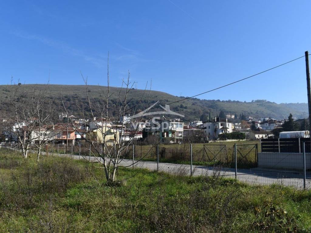 ΑΠΟΨΗ ΟΙΚΟΠΕΔΟΥ