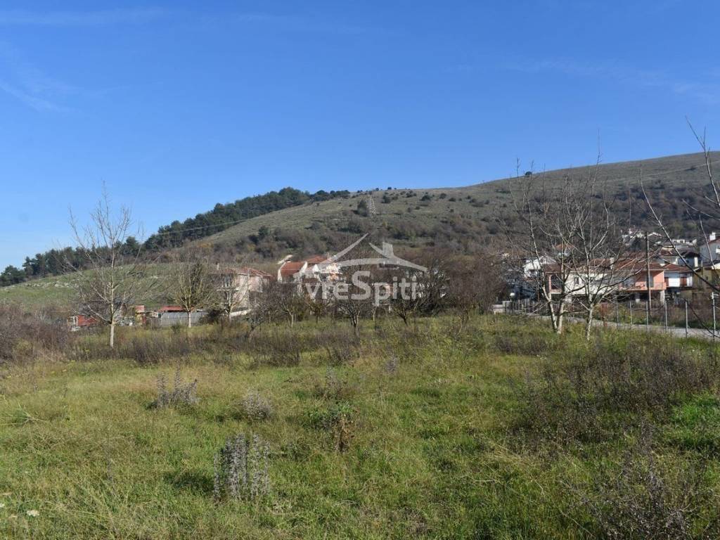 ΑΠΟΨΗ ΟΙΚΟΠΕΔΟΥ