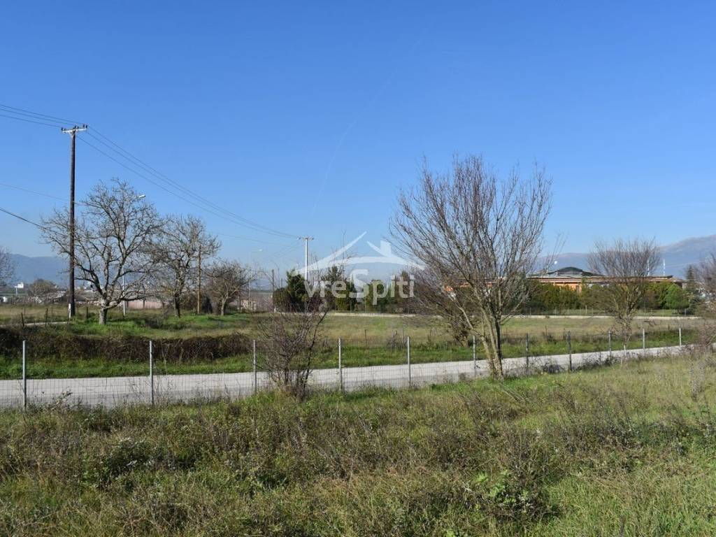 ΑΠΟΨΗ ΟΙΚΟΠΕΔΟΥ