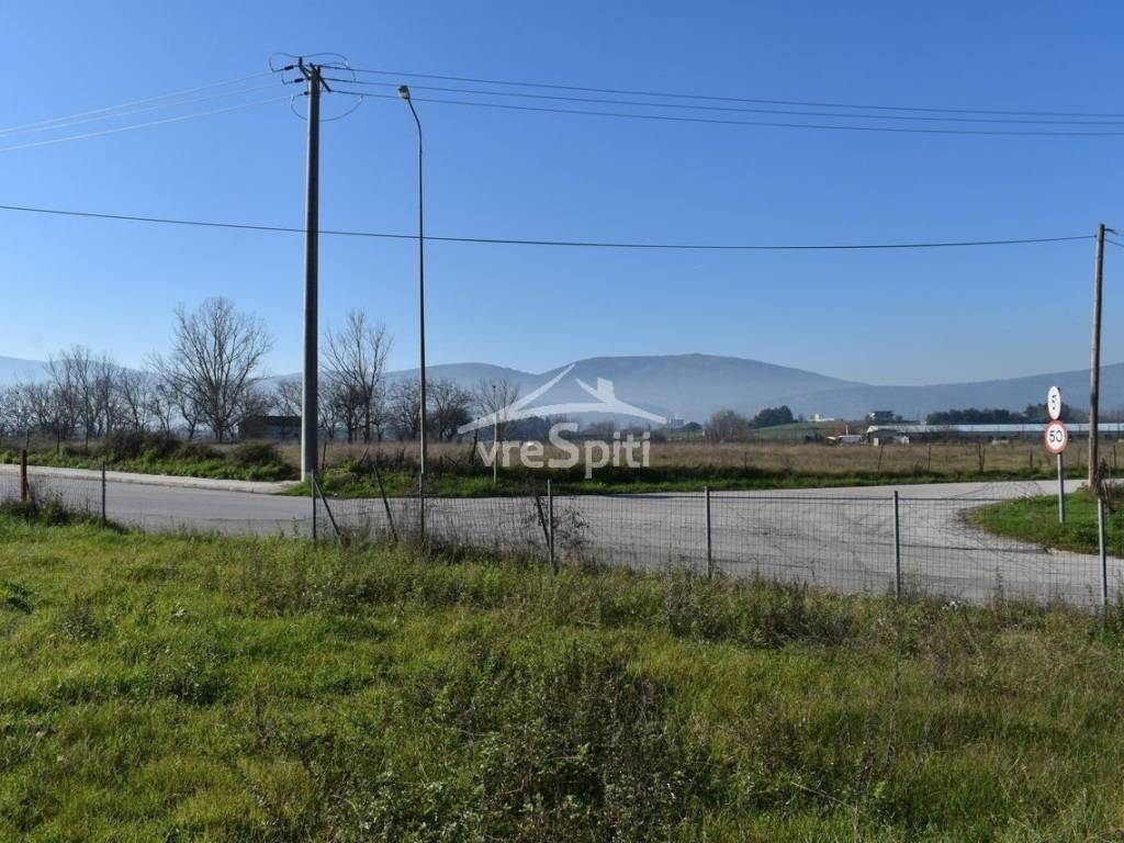 ΑΠΟΨΗ ΟΙΚΟΠΕΔΟΥ