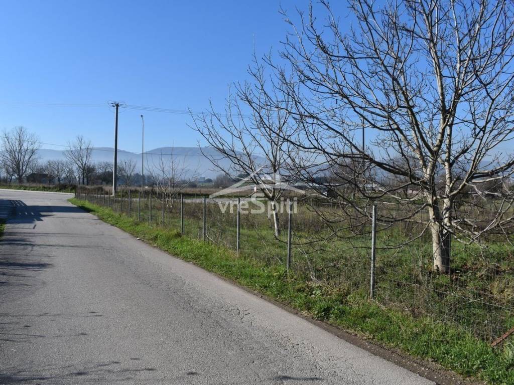 ΑΠΟΨΗ ΟΙΚΟΠΕΔΟΥ