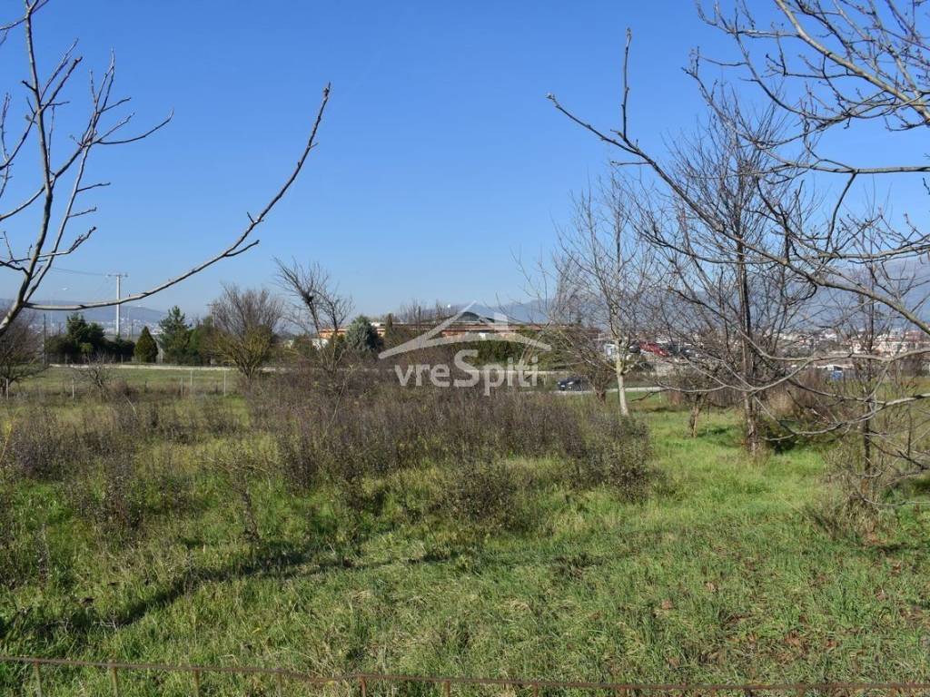 ΑΠΟΨΗ ΟΙΚΟΠΕΔΟΥ