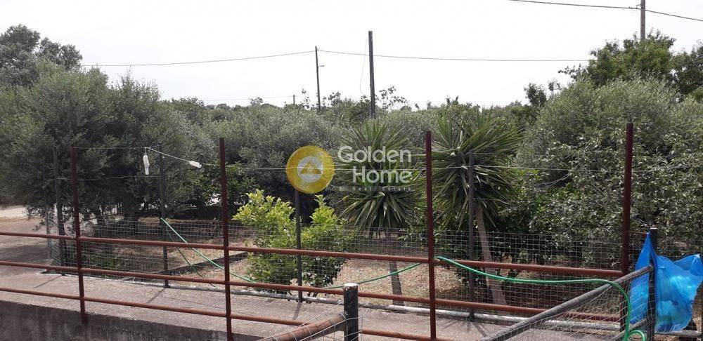 Εξωτερικός Χώρος