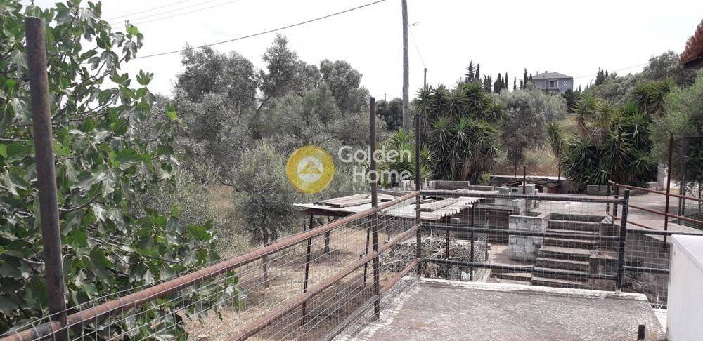 Εξωτερικός Χώρος