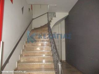 EISODOS CHORIS ASANSER