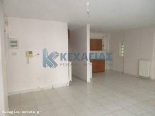 ΣΑΛΟΚΟΥΖΙΝΑ