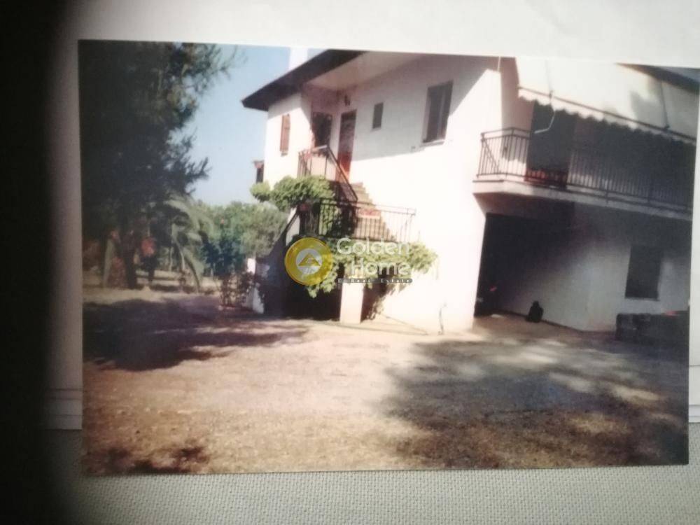 Εξωτερικός Χώρος