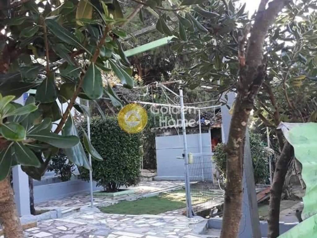 Εξωτερικός Χώρος