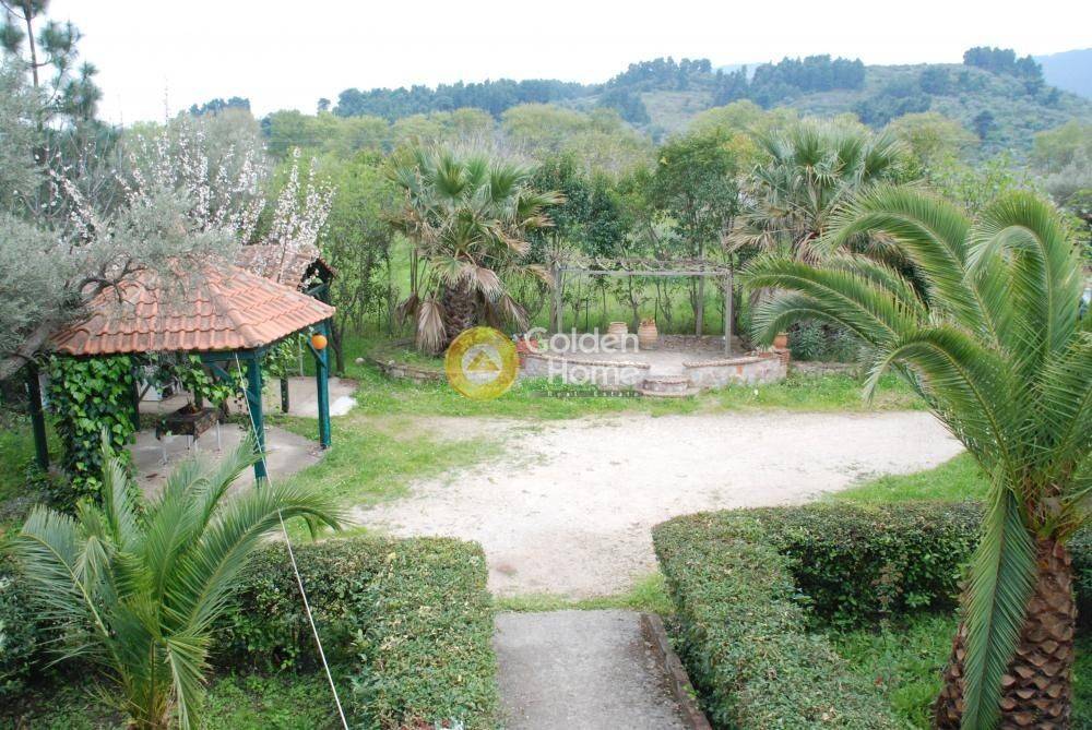 Εξωτερικός Χώρος