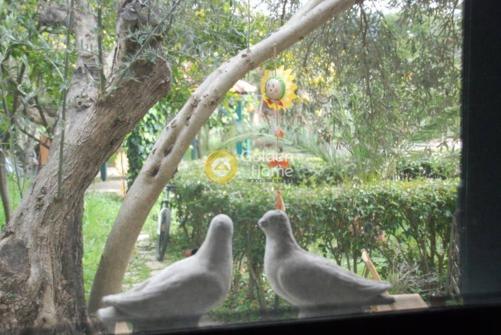 Εξωτερικός Χώρος