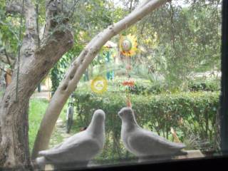 Εξωτερικός Χώρος