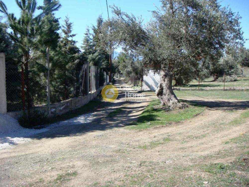 Εξωτερικός Χώρος