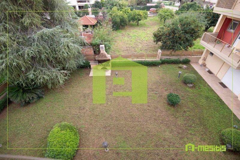 Ύπαρξη ανθρώπου