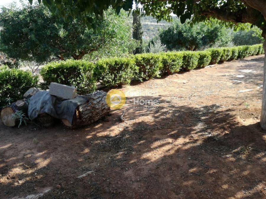 Εξωτερικός Χώρος