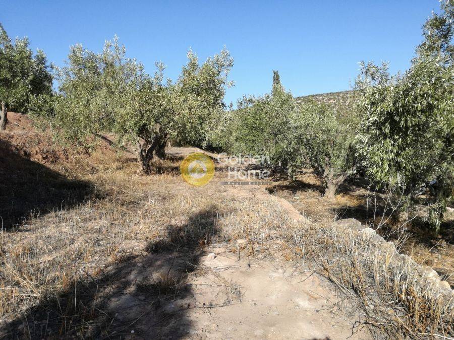 Εξωτερικός Χώρος