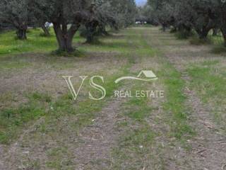 αποψη οικοπεδου