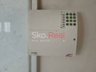 Συναγερμός