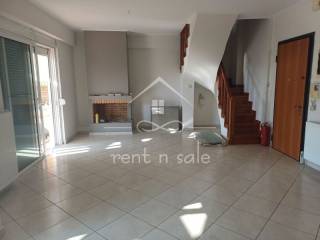 Σαλοκουζίνα