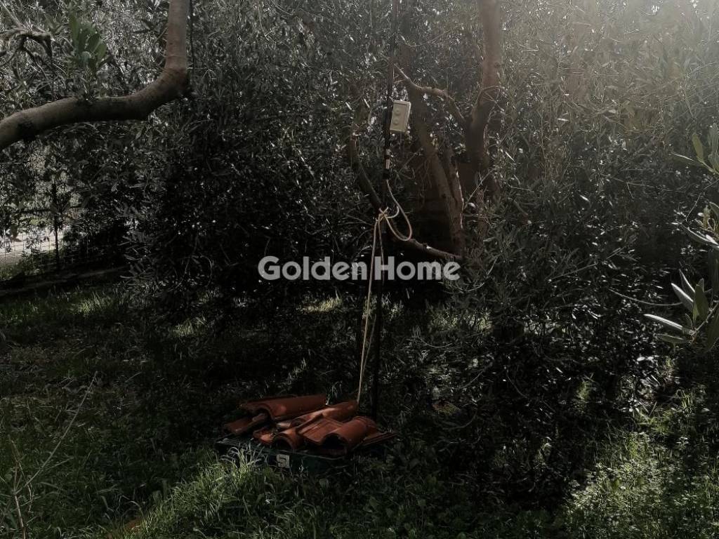 Εξωτερικός Χώρος