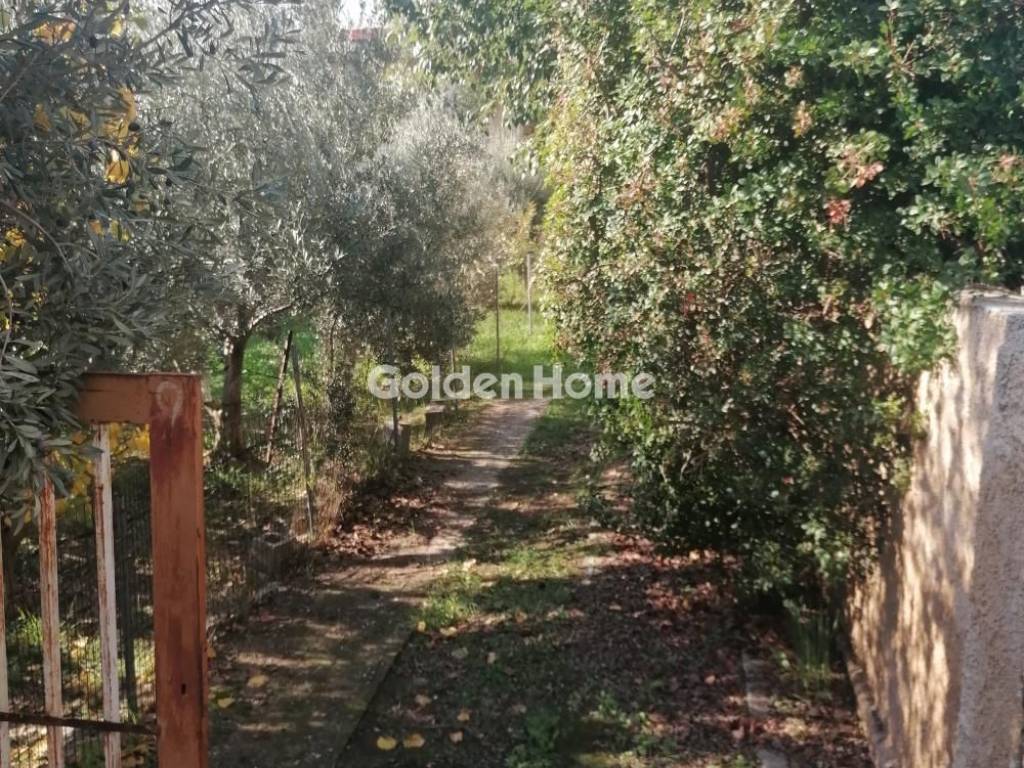 Εξωτερικός Χώρος