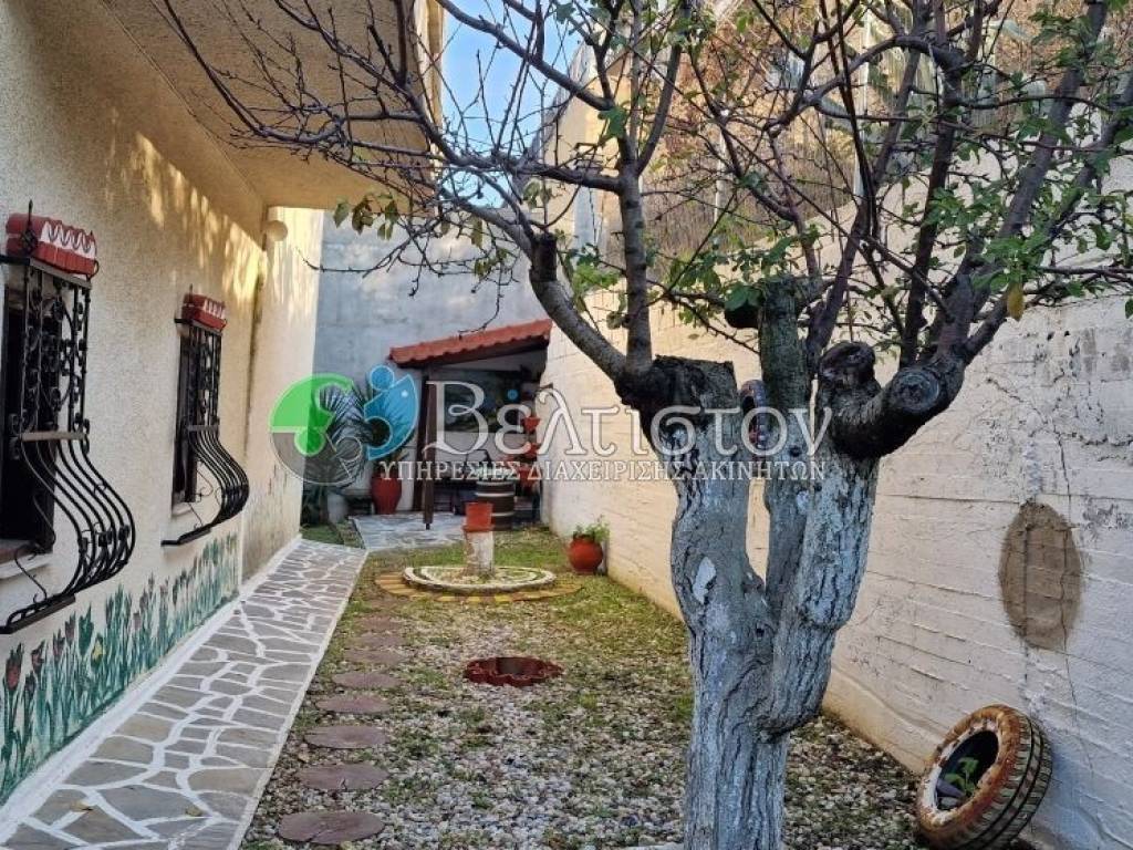 Ύπαρξη ανθρώπου