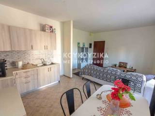 Σαλοκουζίνα