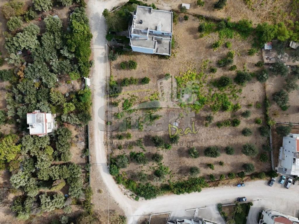 Εξωτερικοι χώροι