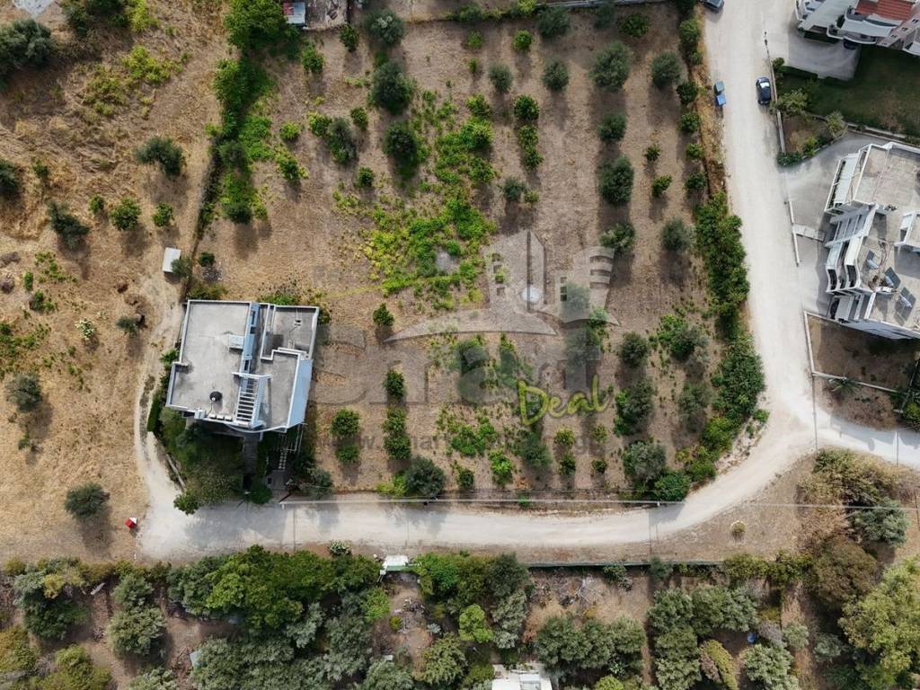 Εξωτερικοι χώροι