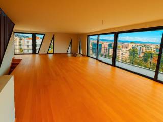 Amazing penthouse monzonite