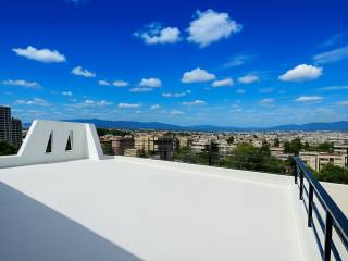 Amazing penthouse monzonite