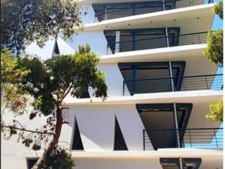 Amazing penthouse monzonite