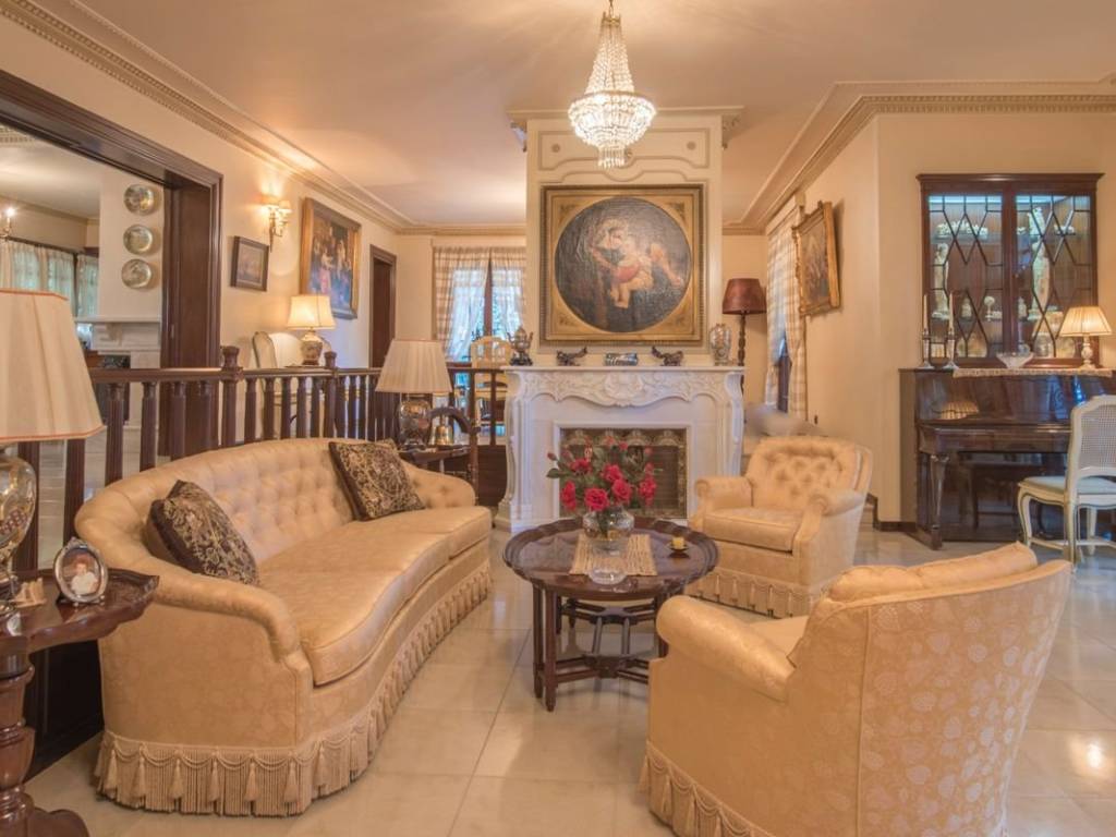 1st level living area, fireplace, dinning area