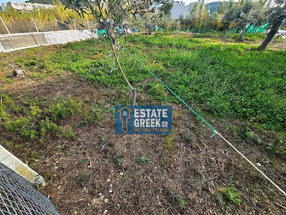 ★ Δεν κτίζει ★ Πρόσωπο σε ασφαλτόδρομο ★ 5μ από θάλασσα