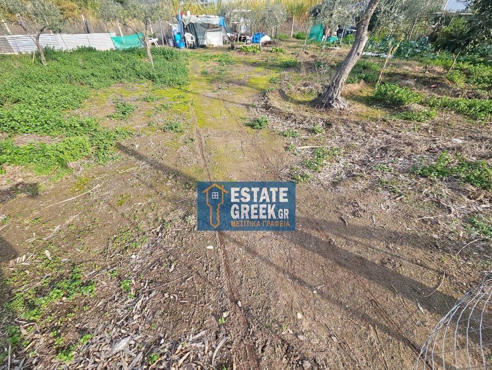 ★ Δεν κτίζει ★ Πρόσωπο σε ασφαλτόδρομο ★ 5μ από θάλασσα