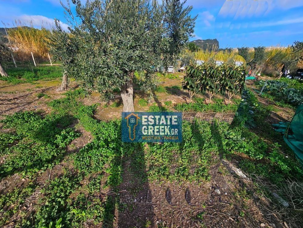 ★ Δεν κτίζει ★ Πρόσωπο σε ασφαλτόδρομο ★ 5μ από θάλασσα