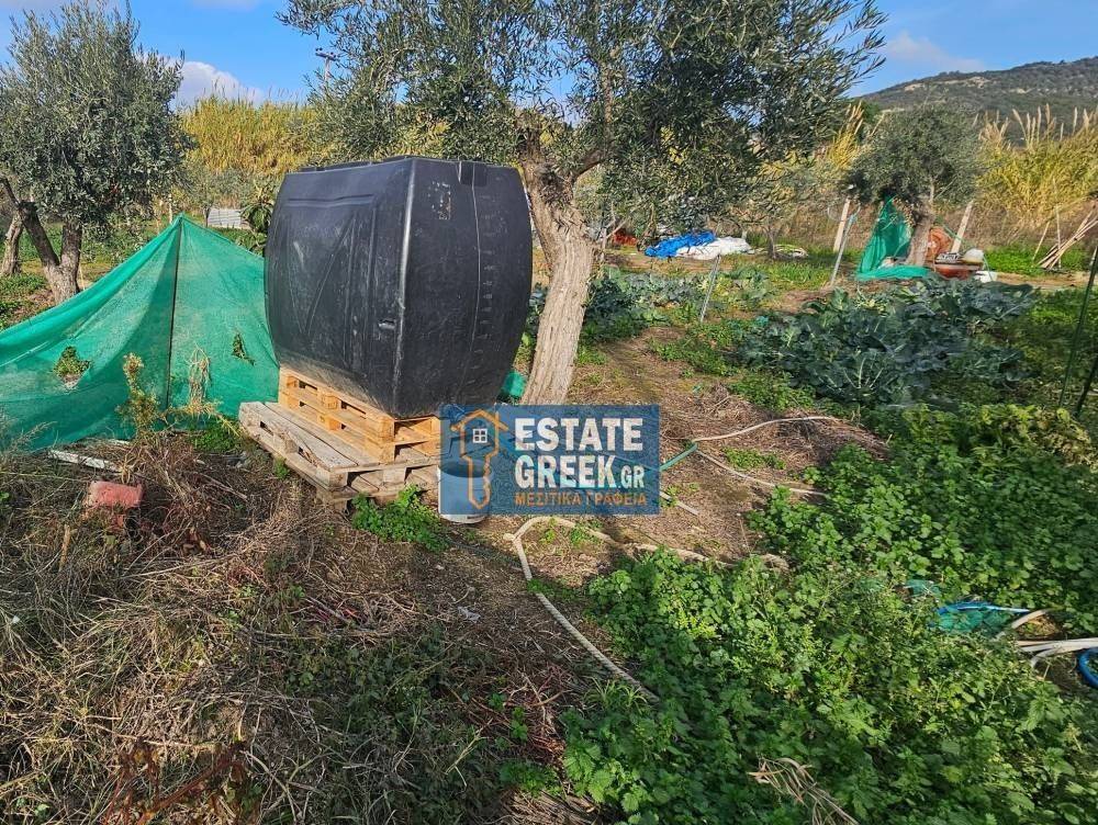 ★ Δεν κτίζει ★ Πρόσωπο σε ασφαλτόδρομο ★ 5μ από θάλασσα