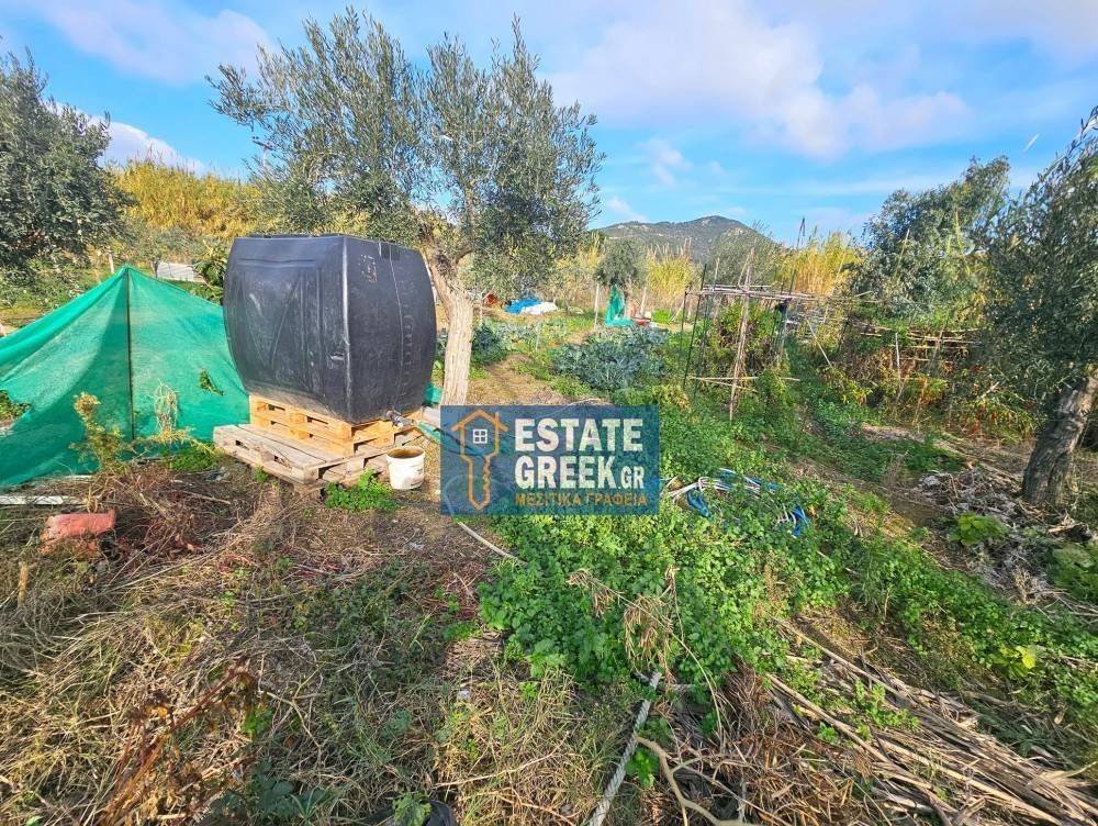 ★ Δεν κτίζει ★ Πρόσωπο σε ασφαλτόδρομο ★ 5μ από θάλασσα