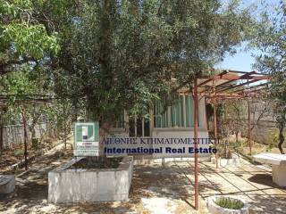 ΤΜΗΜΑ ΤΟΥ ΠΕΡΙΒΑΛΛΟΝΤΟΣ ΧΩΡΟΥ