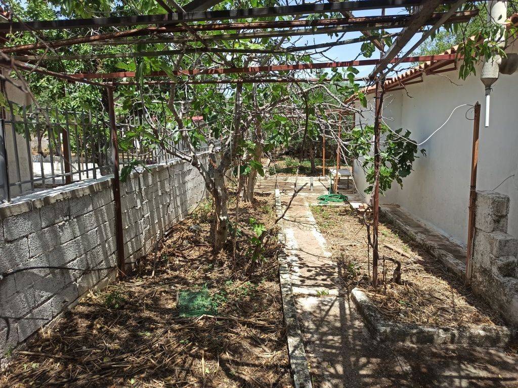 TMEMA TOY PERIBALLONTOS CHOROY