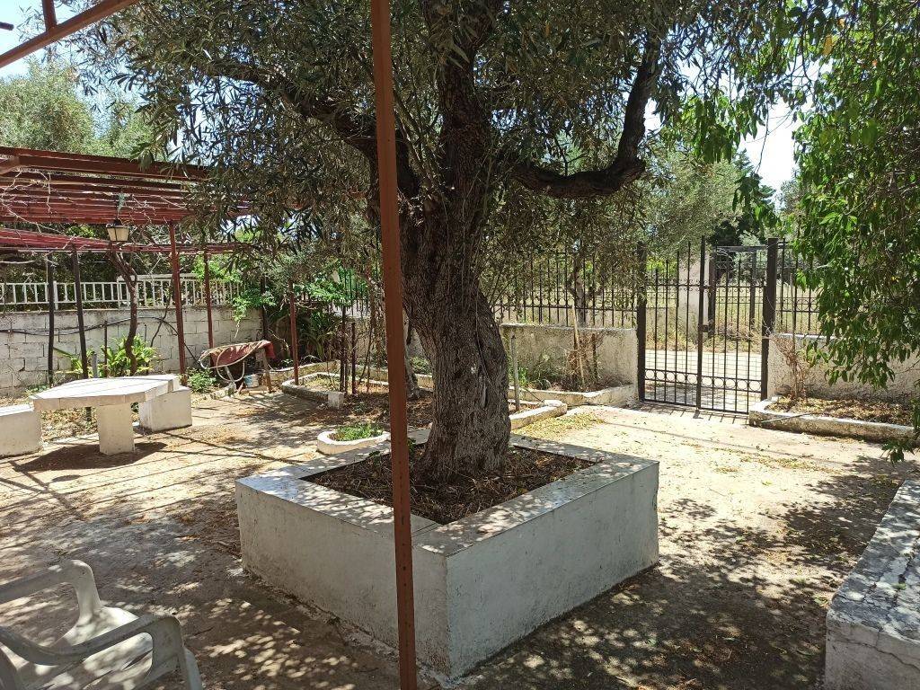 TMEMA TOY PERIBALLONTOS CHOROY