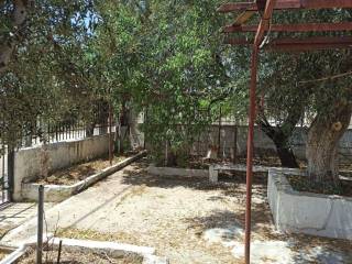 TMEMA TOY PERIBALLONTOS CHOROY