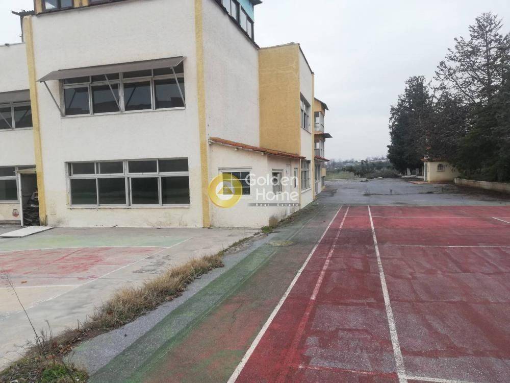 Ανελκυστήρας