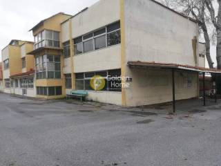 Ανελκυστήρας