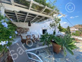 Dining area of terrace under jasmine covered pergola
