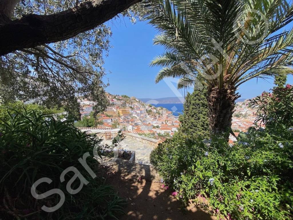 At the top back corner of the garden